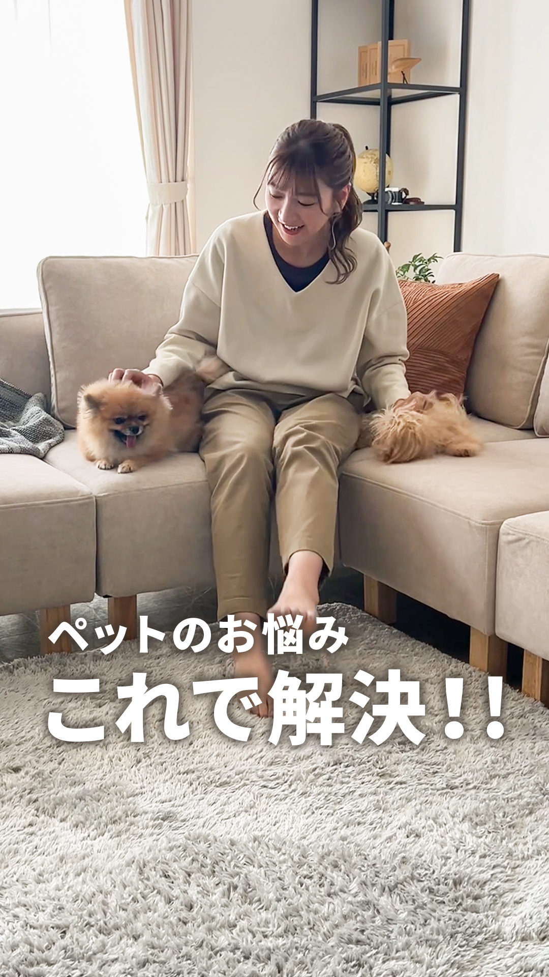 ペット対応生地ソファ特集 猫・犬のひっかき傷に強いソファ ペット対応生地ソファ特集 猫・犬のひっかき傷に強いソファ